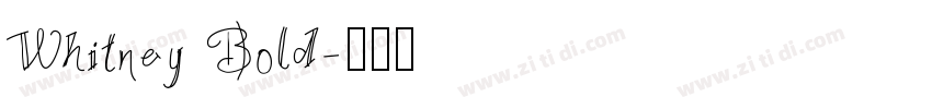 Whitney Bold字体转换